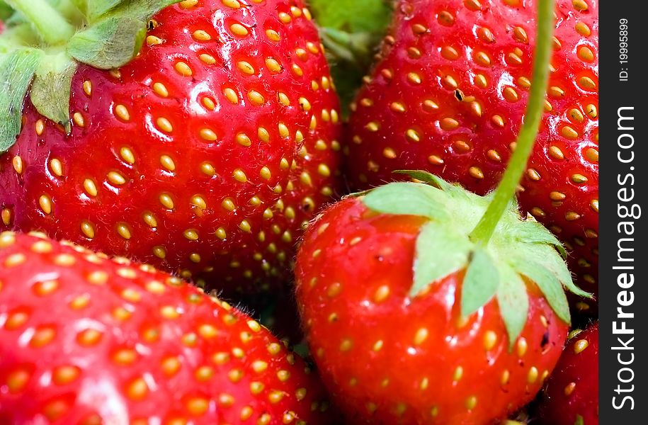 Detail of fresh strawberries in the basket.