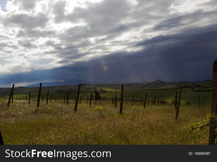 Dark Clouds Over Vineyard