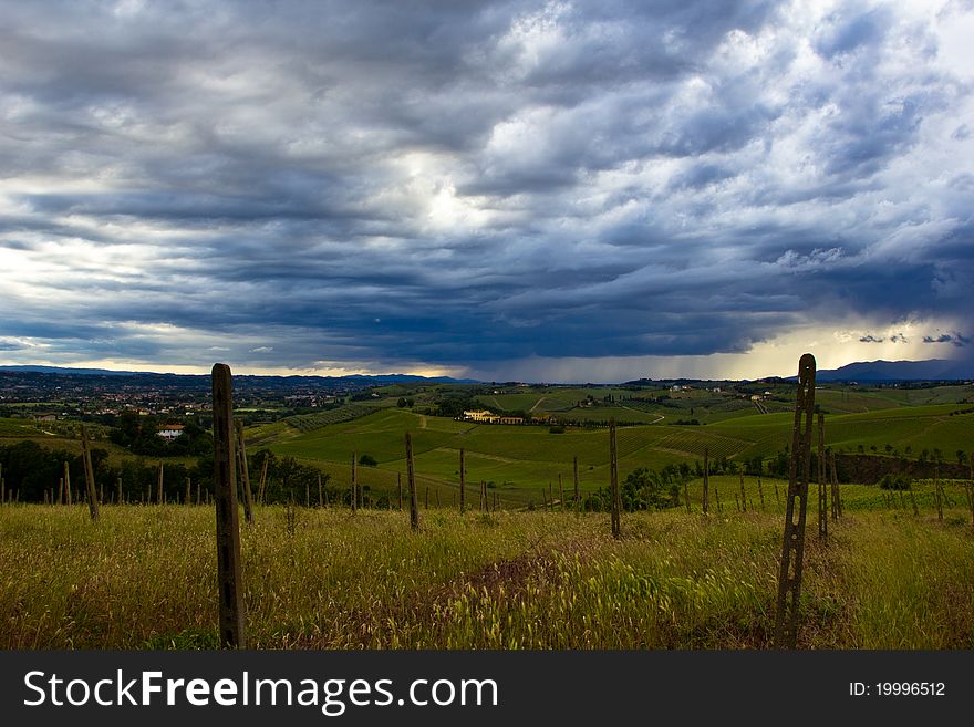 Shot taken before a spring thunderstorm in a chianti vineyard, Tuscany, Italy. Shot taken before a spring thunderstorm in a chianti vineyard, Tuscany, Italy.
