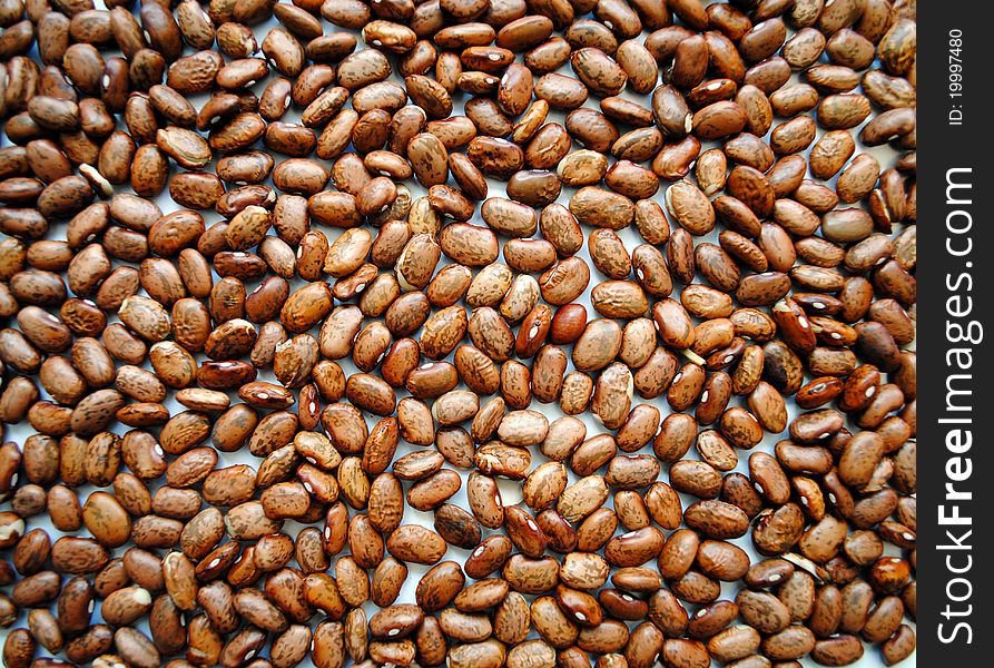 Closeup of dried beans for a background
