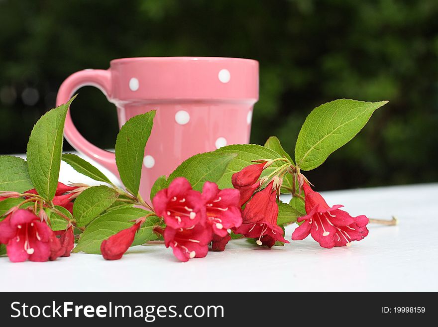 Pink, Spring flowers and a cup on the garden table