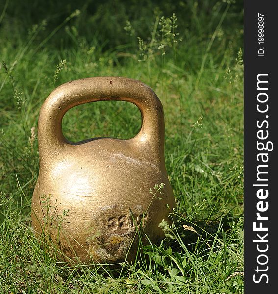 Gold dumbbell on green grass at park.