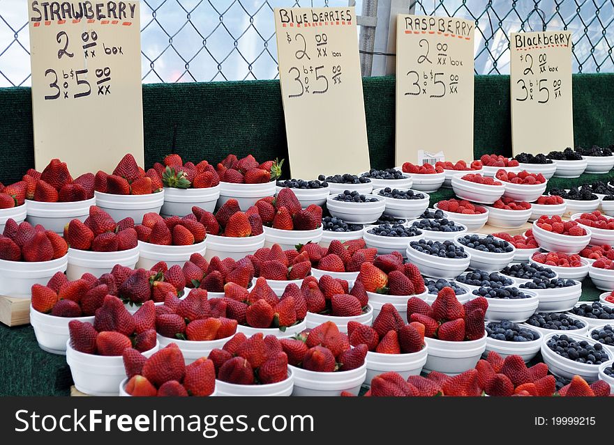 Starwberries, blue berries, raspberries and blackberries in white containers. Starwberries, blue berries, raspberries and blackberries in white containers