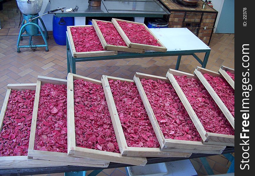 Crystalised rose petals in a confectioners factory. Crystalised rose petals in a confectioners factory.