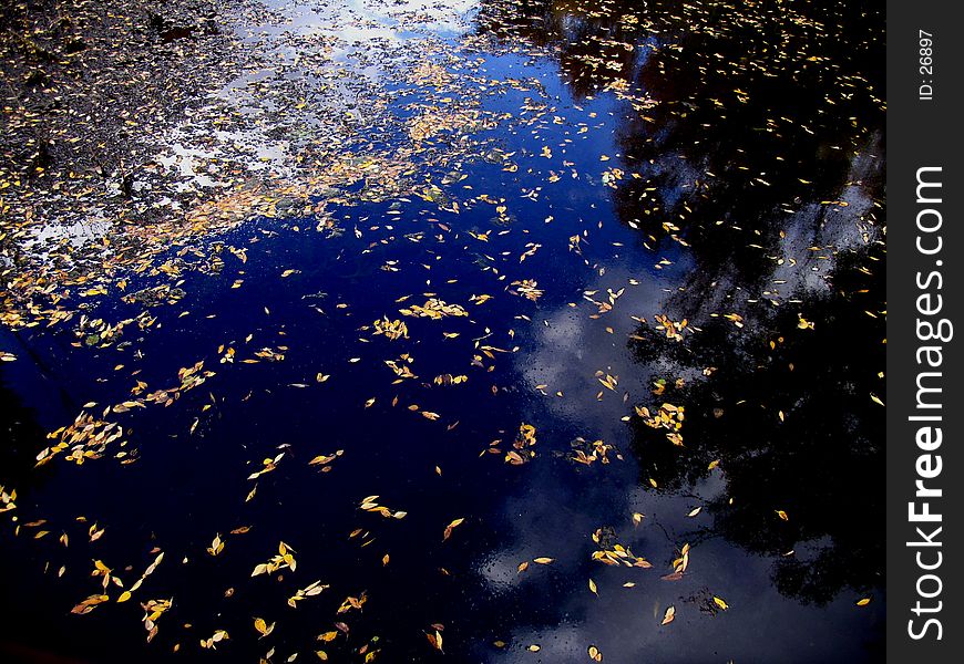 Lake, reflection, autumn leaves. Lake, reflection, autumn leaves.
