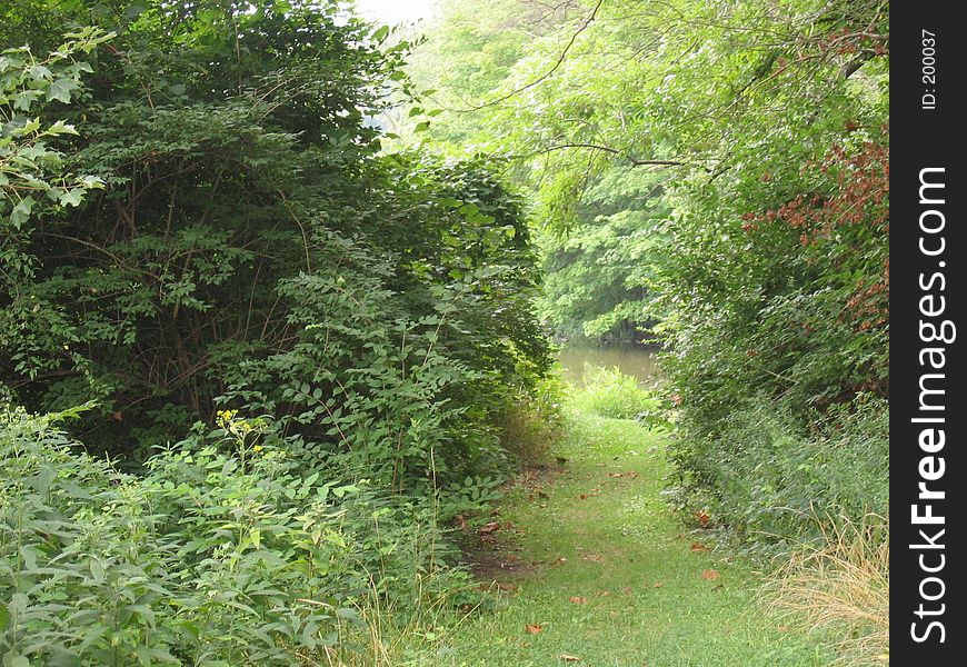 Pathway to the lake, Stonelick Park, Ohio. Pathway to the lake, Stonelick Park, Ohio