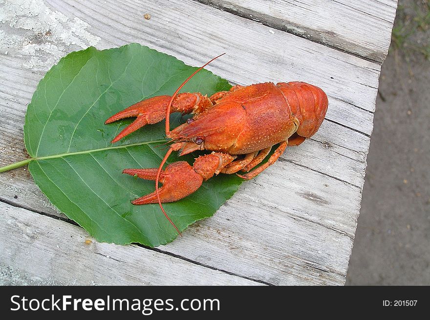 Boiled crayfish on the leaf