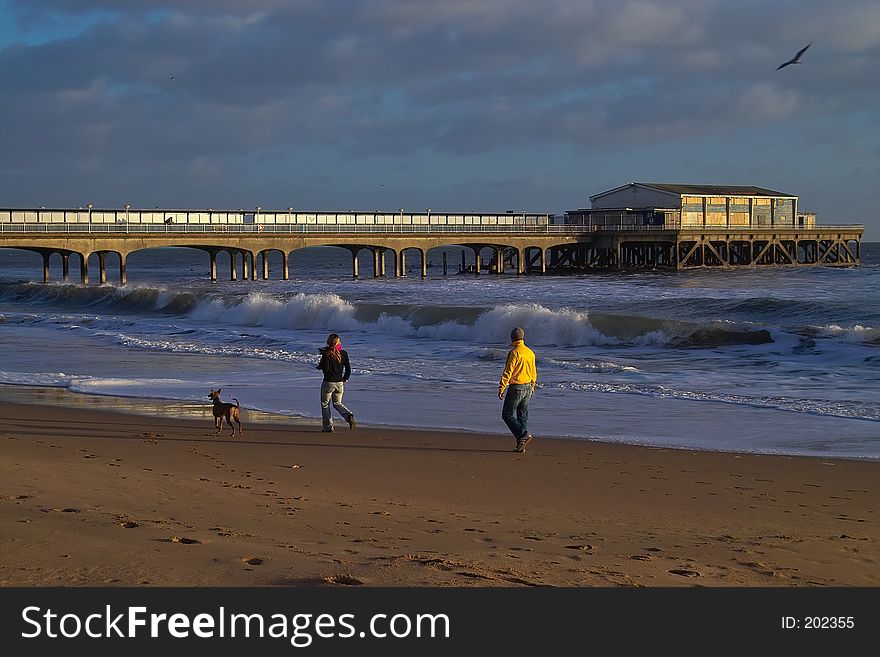 A family walking the dog at the seaside