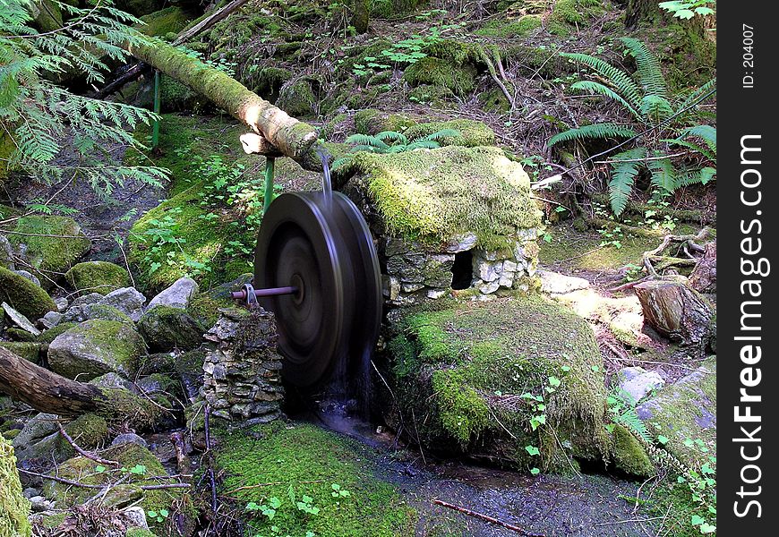 Moss-covered powerhouse and water wheel