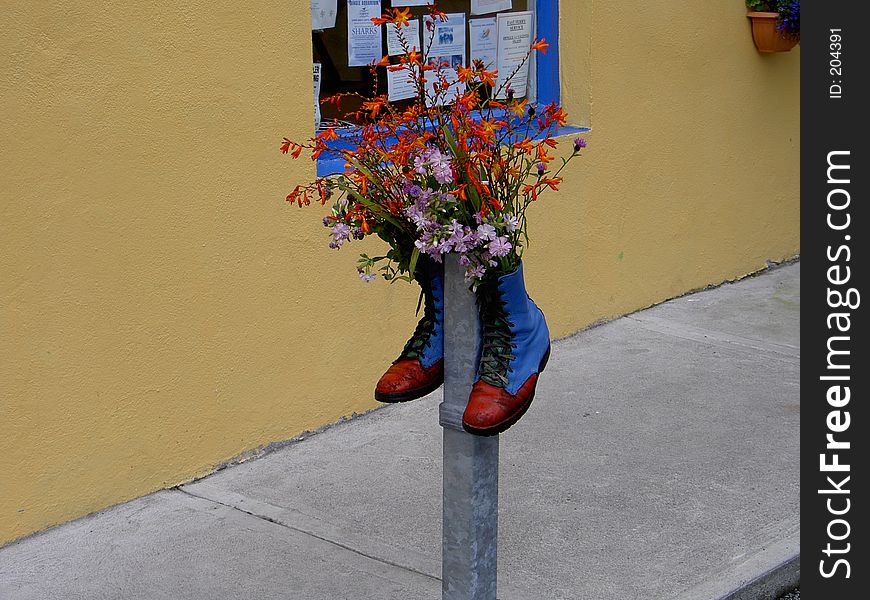 Pair of boots filled with flowers taken in Ireland. Pair of boots filled with flowers taken in Ireland