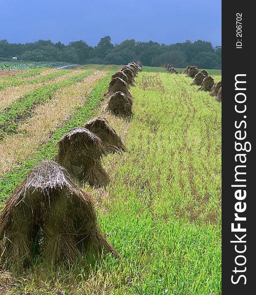 Haystacks in field in Ohio. Haystacks in field in Ohio