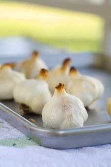 Garlic Bulbs Roasted Stock Photo Garlic Bulbs Roasted Stock Photo