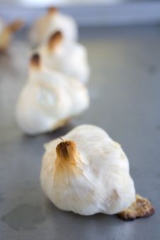 Garlic Bulbs Roasted On A Roasting Pan Royalty Free Stock Image