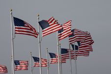 USA Flags Stock Images