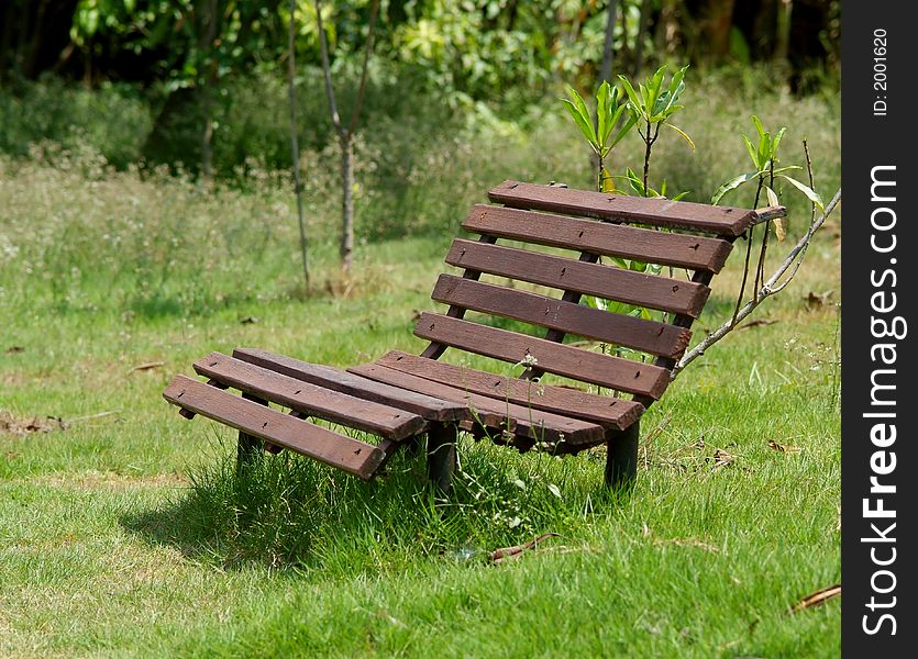Wooden bench in a field, partly overgrown with grass and plants