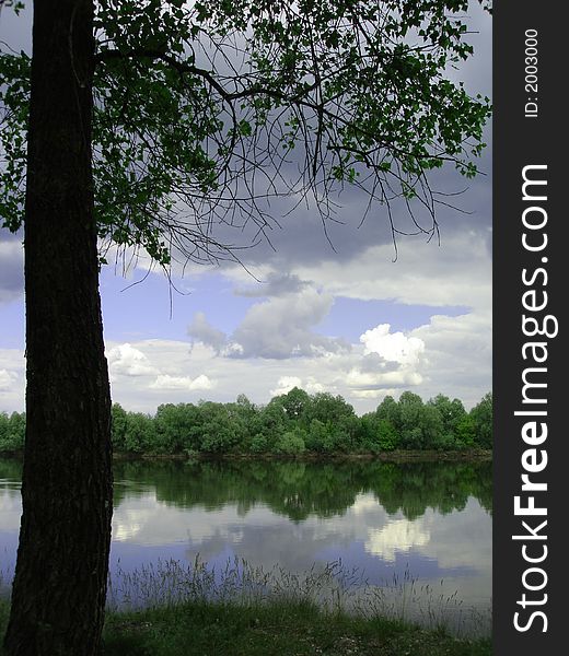 Tree with green leaves and river and clouds