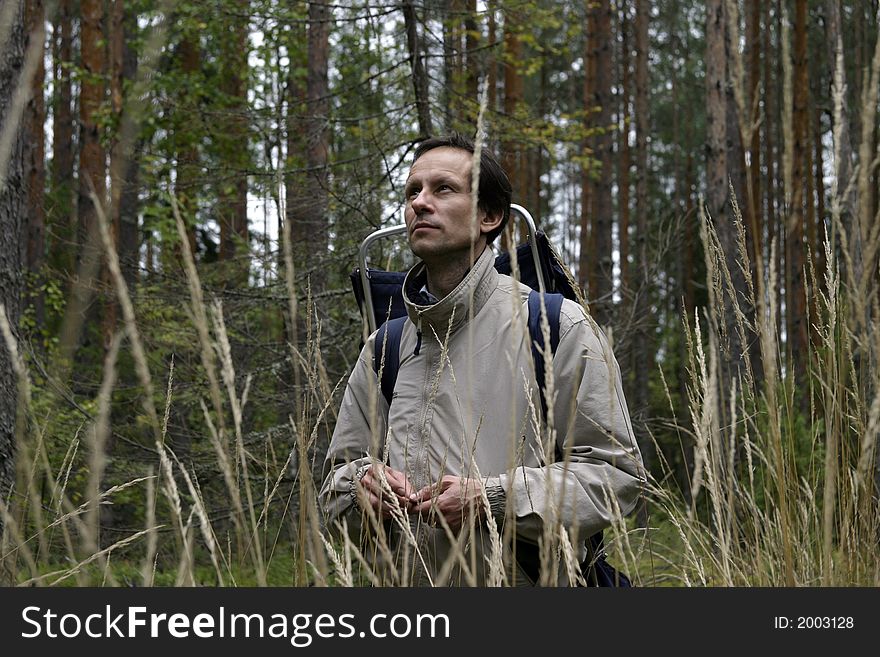 The mushroom picker with a backpack, filled by ceps estimates probability of change of weather. The mushroom picker with a backpack, filled by ceps estimates probability of change of weather