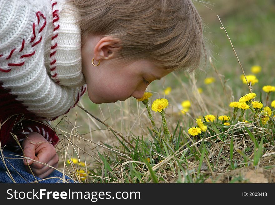 The girl smells yellow small flowers. The girl smells yellow small flowers