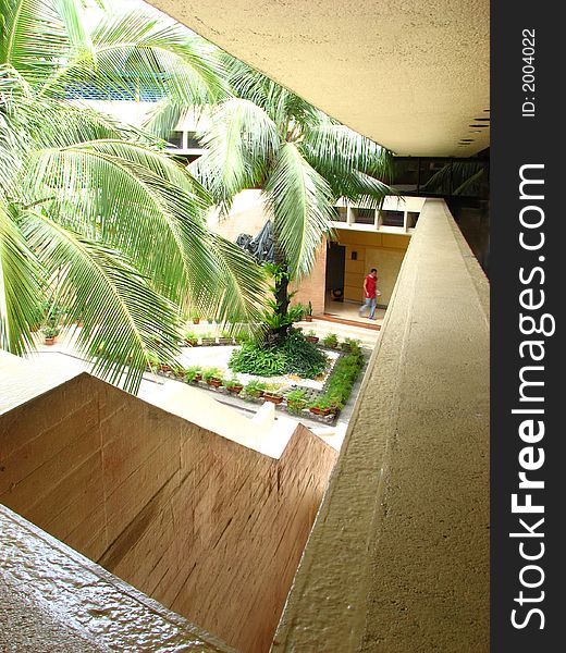 A garden in the middle of a building