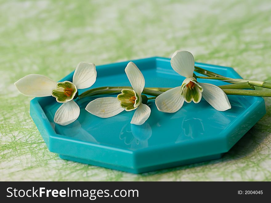 Table deco with snowdrops