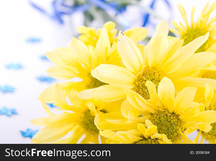 Shoot of nice abstract composition with flowers.