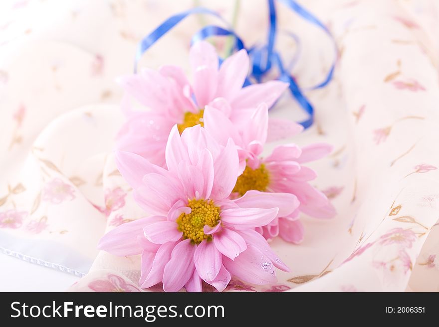 Shoot of nice abstract composition with flowers.