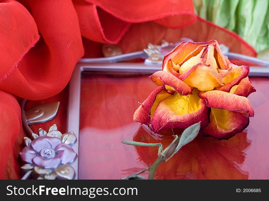 Shoot of nice abstract composition with flowers.