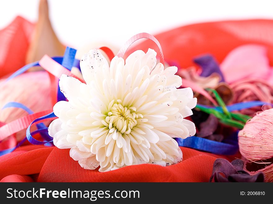 Shoot of nice abstract composition with flowers.