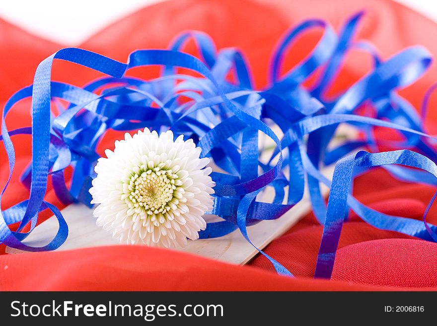 Shoot of nice abstract composition with flowers.