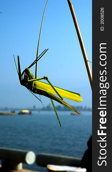 Chinese toy grasshopper made of grass