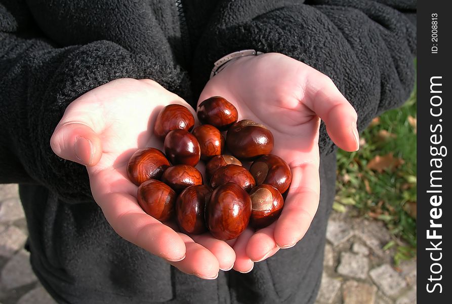 Hands With Chestnuts