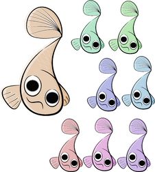 Cute Fish Royalty Free Stock Photo Cute Fish Royalty Free Stock Photo