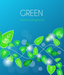 Abstract Natural Background Stock Photography Abstract Natural Background Stock Photography
