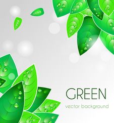 Abstract Natural Background Stock Photos Abstract Natural Background Stock Photos