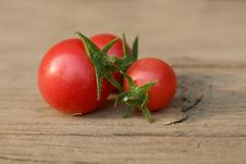 Three Cherry Tomatoes Stock Photo
