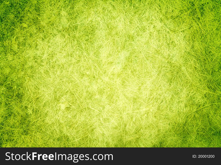 Texture with green grass for designers