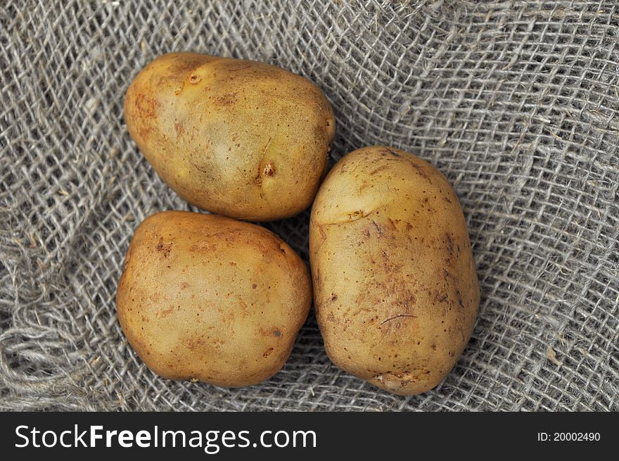 Potato tuber on a background of rough cloth