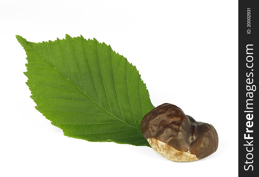 Chestnut with a green leaf on white background.