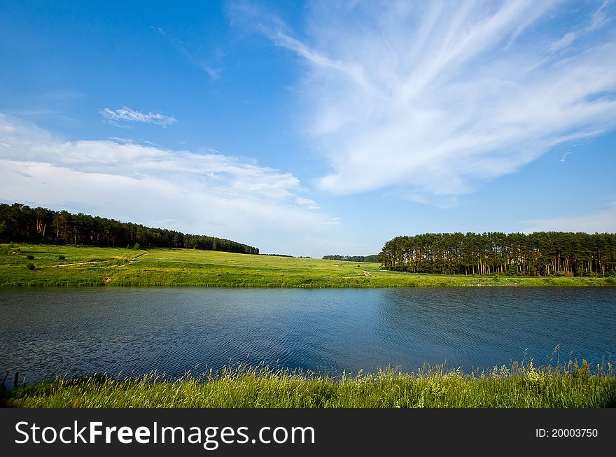 Summer lake and forest view. Nature landscape.