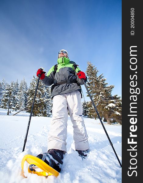 Hiker walks in snow forest. Hiker walks in snow forest