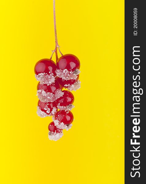Studio-shot of red currants coated with sugar, on a yellow background. Studio-shot of red currants coated with sugar, on a yellow background