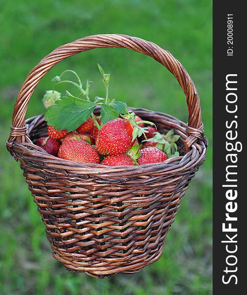 Basket with a strawberry against a grass