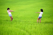 Tug Of War Between Two Young Women In Paddy Field Royalty Free Stock Image Tug Of War Between Two Young Women In Paddy Field Royalty Free Stock Image