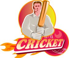 Cricket Player Batsman Ball Bat Flames Stock Image Cricket Player Batsman Ball Bat Flames Stock Image