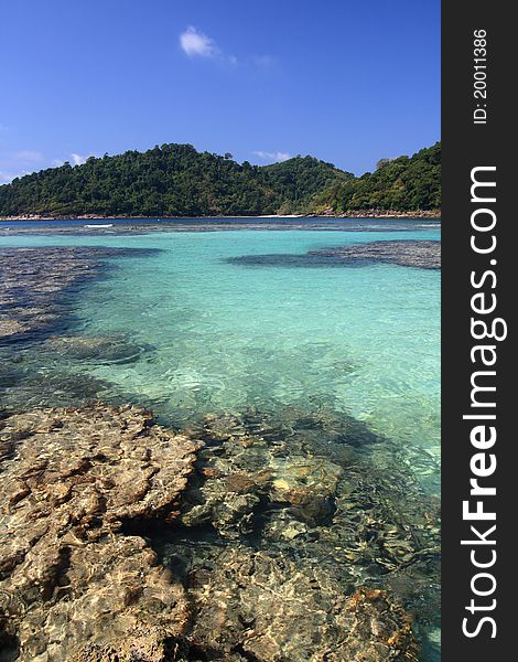 Shallow coral at Moo koh surin nation park in thailand