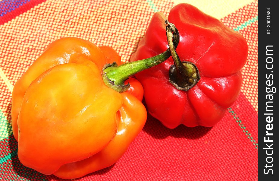 Multicolor hot chili from caribbean island on their typical nap habanero. Multicolor hot chili from caribbean island on their typical nap habanero