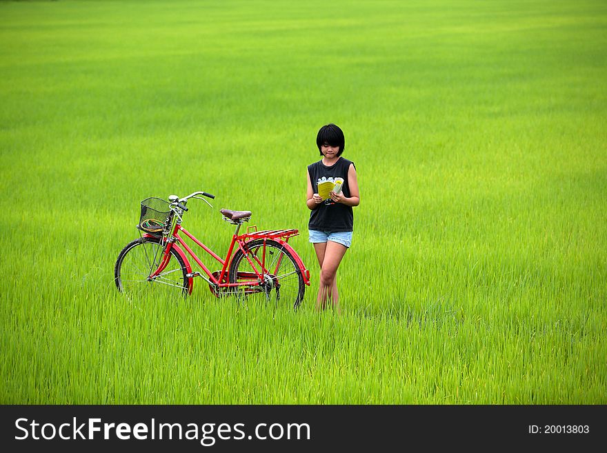 Beautiful Girl Reading A Book With Bike In Paddy