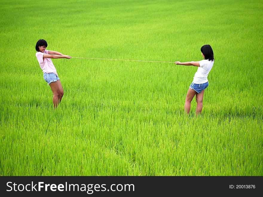 Tug Of War Between Two Young Women In Paddy Field