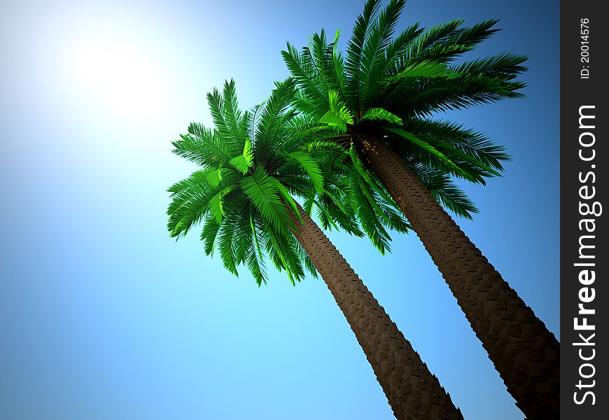 Palm tree. This is a 3d render illustration