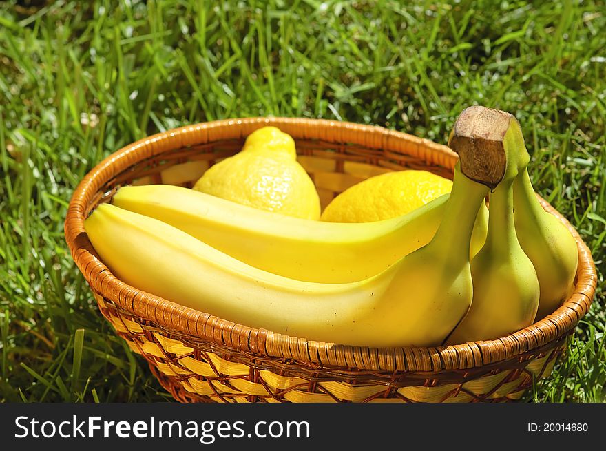 Wicker basket with bananas and lemons on a grass